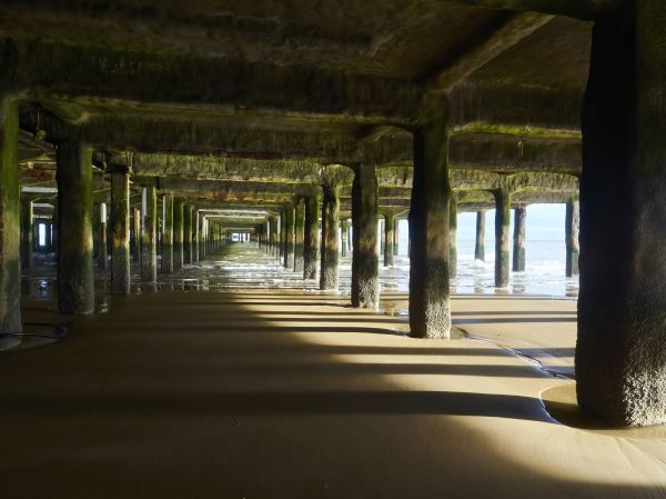 Cost of Pier And Beam Leveling in Great Falls